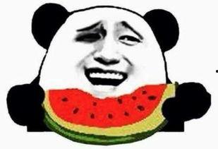 栋旭吃瓜群众,吃瓜群众的视角，揭秘娱乐圈幕后故事